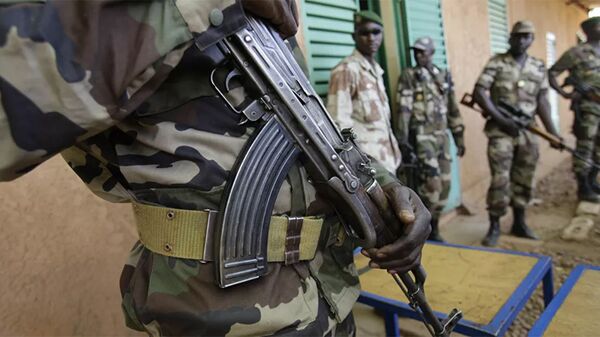 尼日尔军方指责法国部署军事干涉的部队 - 俄罗斯卫星通讯社