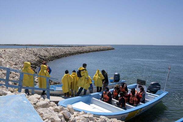 墨西哥，游客们乘船探寻鲸鱼。 - 俄罗斯卫星通讯社