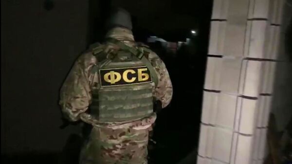 烏情報部門的幫凶在盧甘斯克人民共和國被捕 - 俄羅斯衛星通訊社