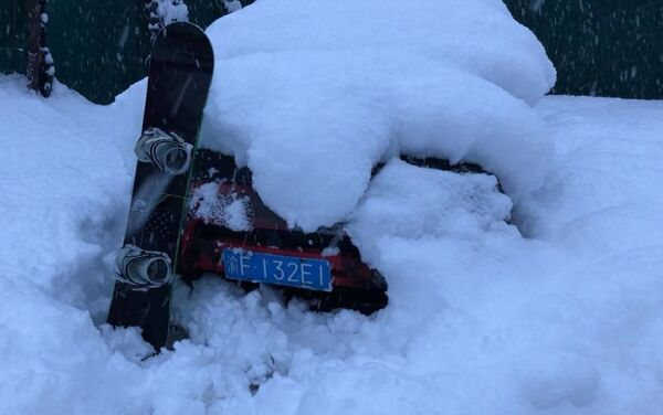 索契的冬天。雪好大，不得不雪中挖車 - 俄羅斯衛星通訊社
