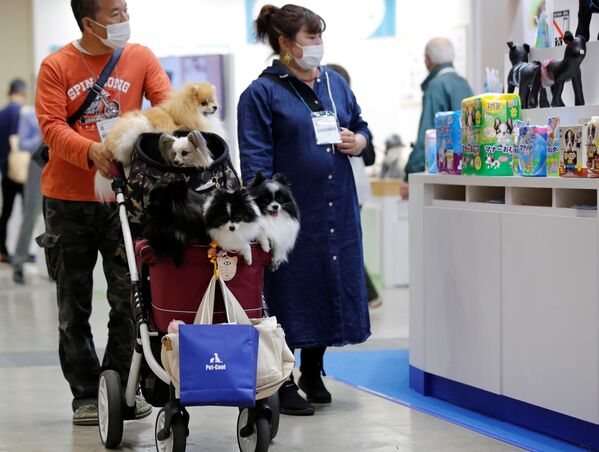 人们带着宠物犬一起参观展会。 - 俄罗斯卫星通讯社