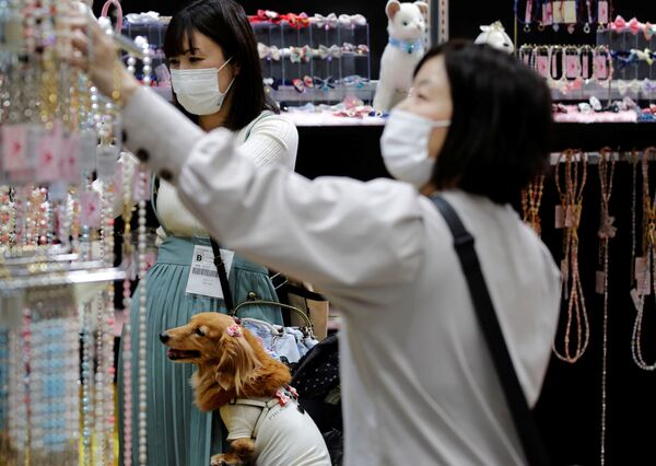 日本东京Interpets国际宠物用品展。 - 俄罗斯卫星通讯社