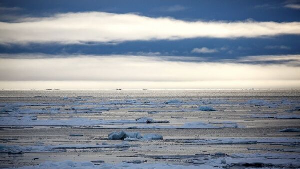 Северный Ледовитый океан - 俄罗斯卫星通讯社