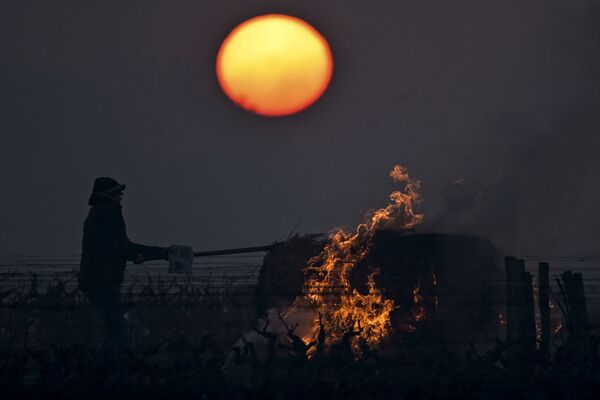 法國果農在葡萄園中燃燒稻草，為葡萄加溫除霜。 - 俄羅斯衛星通訊社