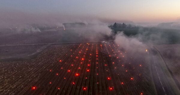 法國各葡萄園中瀰漫著稻草燃燒的濃煙。 - 俄羅斯衛星通訊社