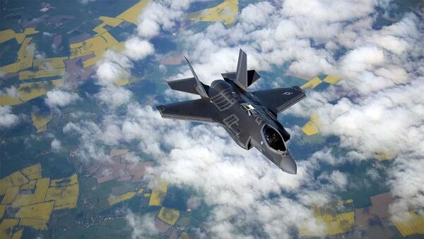 土耳其和美國計劃就F-35戰鬥機問題在華盛頓舉行會談 - 俄羅斯衛星通訊社