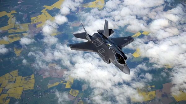 土耳其和美国计划就F-35战斗机问题在华盛顿举行会谈 - 俄罗斯卫星通讯社