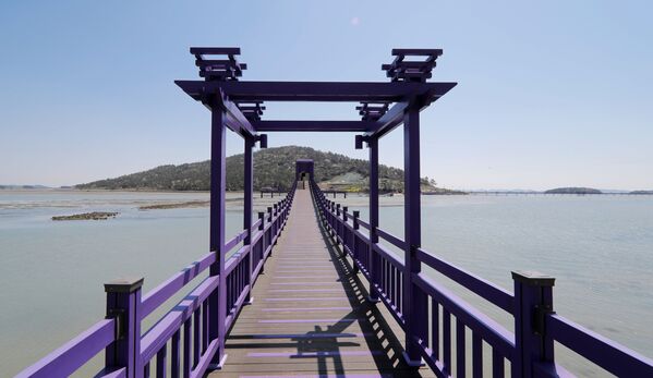 韩国全罗南道的紫色廊桥。 - 俄罗斯卫星通讯社