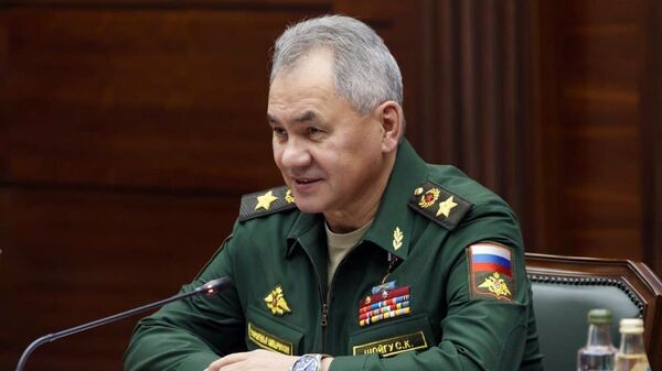 俄罗斯国防部长谢尔盖·绍伊古  - 俄罗斯卫星通讯社