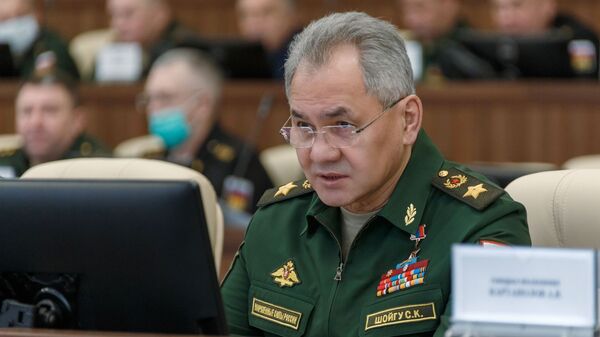 俄罗斯防长：俄罗斯与伊朗在国防领域的关系发展迅速 - 俄罗斯卫星通讯社