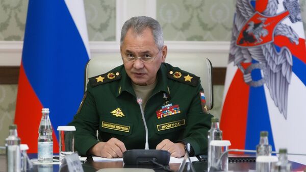 俄罗斯国防部部长绍伊古 - 俄罗斯卫星通讯社