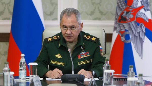 俄国防部长：俄中正在逐步加大联合军事训练密度 - 俄罗斯卫星通讯社
