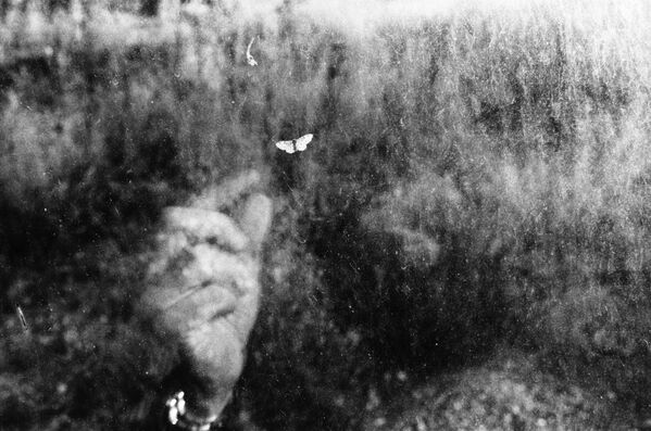 意大利摄影师翁贝托•维尔多利瓦拍摄的“美丽之路”系列作品,在大赛中受到了高度评价。 意大利摄影师翁贝托•维尔多利瓦拍摄的“美丽之路”系列作品,在大赛中受到了高度评价。 - 俄罗斯卫星通讯社