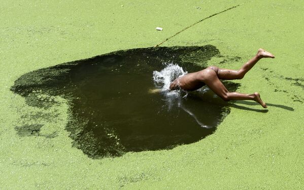 尼泊爾男孩跳入池塘。 - 俄羅斯衛星通訊社