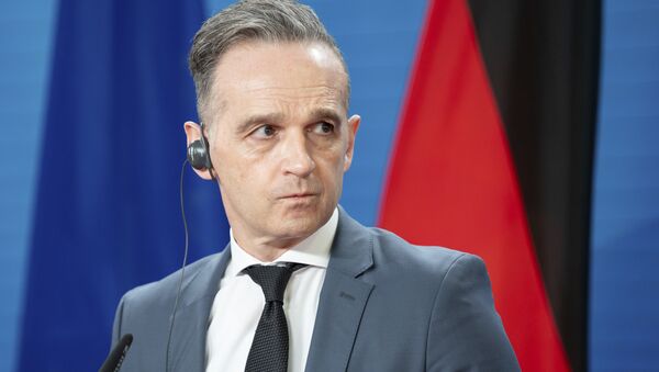 德國外交部：20多個國家接受阿富汗專題虛擬會談邀請 - 俄羅斯衛星通訊社