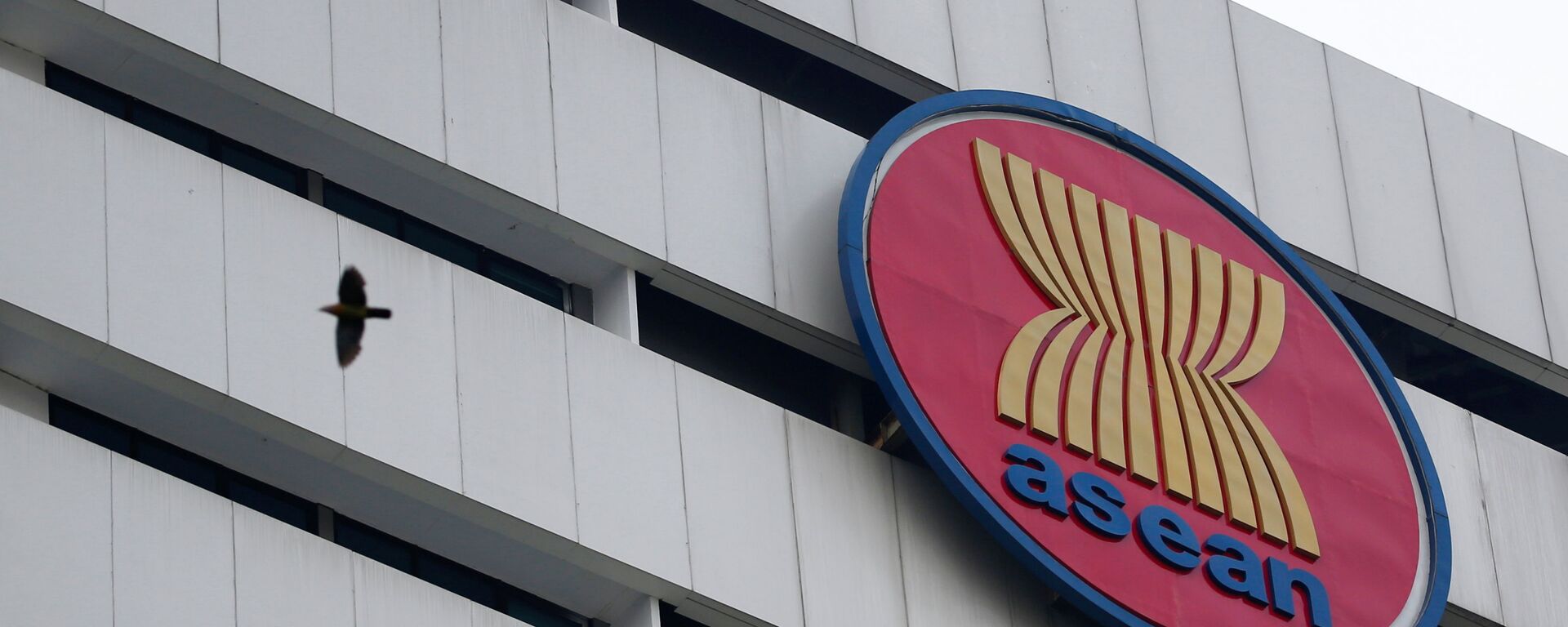 专家：面对贸易与能源双重考验，中国与东盟合作核心在于共护韧性 - 俄罗斯卫星通讯社, 1920, 01.04.2026