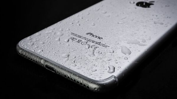 台企富士康开始在印度生产 iPhone 15 - 俄罗斯卫星通讯社