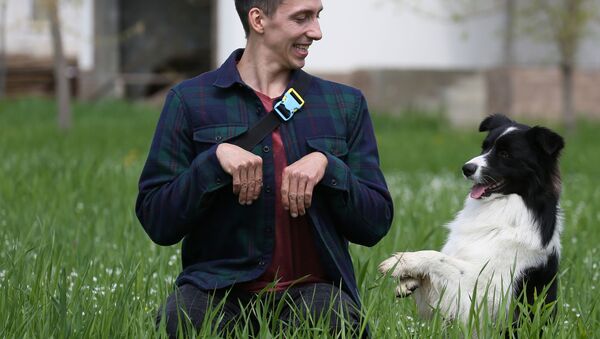 克拉斯諾達爾市一隻名為“休斯頓”的小狗。 - 俄羅斯衛星通訊社