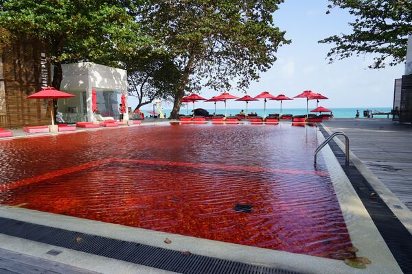 泰国图书馆酒店红色游泳池。 - 俄罗斯卫星通讯社