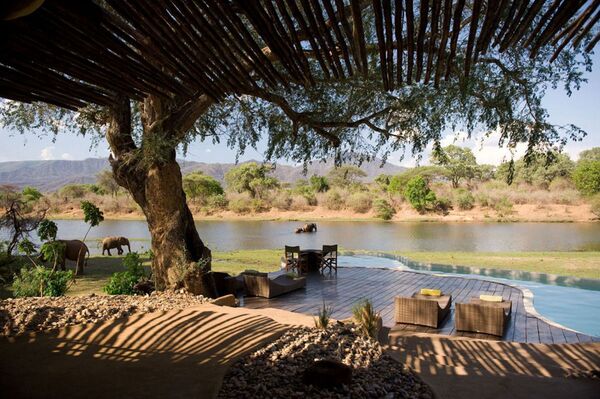 贊比亞非洲保護區中心游泳池。 - 俄羅斯衛星通訊社