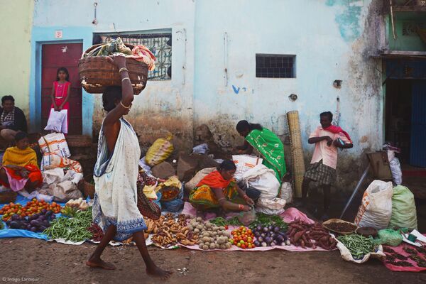 印度摄影师因迪戈·拉尔穆尔拍摄作品《Odisha Tribal Markets》获得2021年“粉红女郎”（Pink Lady®）美食摄影师大赛“11-14岁青少年类”奖项。 - 俄罗斯卫星通讯社