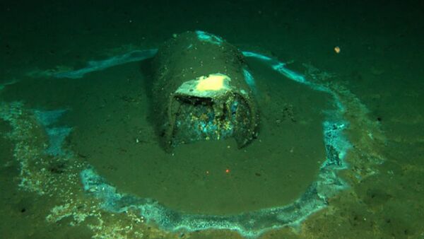 У берегов США нашли крупное захоронение топлива - 俄羅斯衛星通訊社