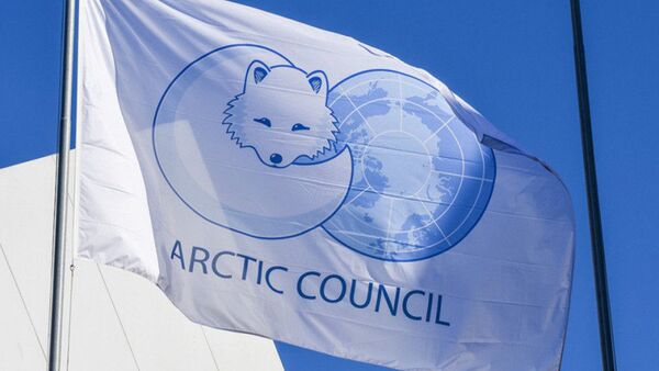 В мае к  России переходит  двухлетнее председательство в  Арктическом Совете - 俄羅斯衛星通訊社