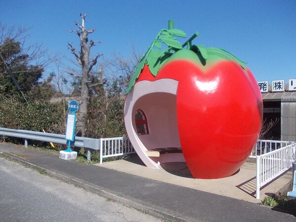 日本长崎县小长井町市的苹果形状的公交车站。 - 俄罗斯卫星通讯社