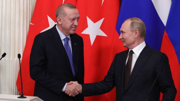 Президент РФ Владимир Путин и президент Турции Тайип Эрдоганом  - 俄羅斯衛星通訊社
