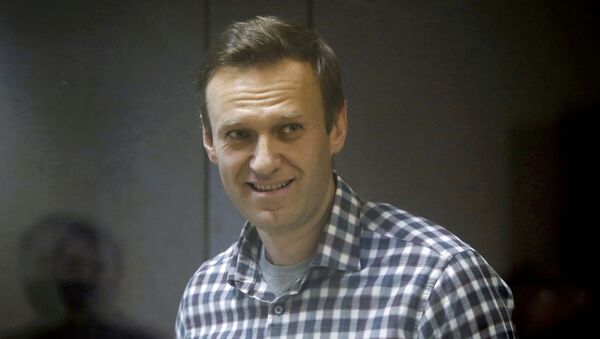 Оппозиционный политик Алексей Навальный  - 俄罗斯卫星通讯社
