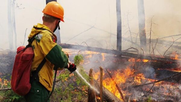 Тушение лесных пожаров  - 俄罗斯卫星通讯社