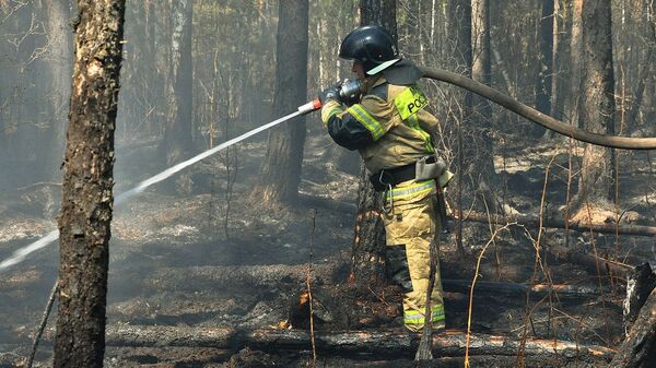 俄布里亚特共和国5处森林火灾均被扑灭 - 俄罗斯卫星通讯社