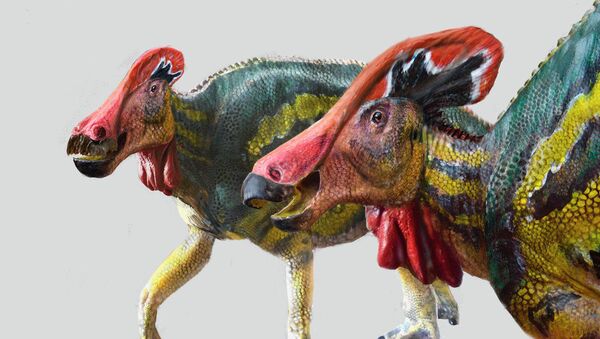 Динозавр Tlatolophus galorum - 俄罗斯卫星通讯社