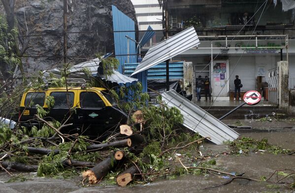 孟買，汽車被颶風颳倒的樹木砸壞。 - 俄羅斯衛星通訊社