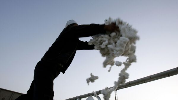 Рабочий собирает хлопок-сырец на хлопковом участке в городе Корла в Синьцзян-Уйгурском автономном районе на северо-западе Китая - 俄羅斯衛星通訊社