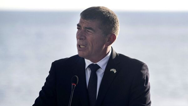 Министр иностранных дел Израиля Габи Ашкенази - 俄羅斯衛星通訊社