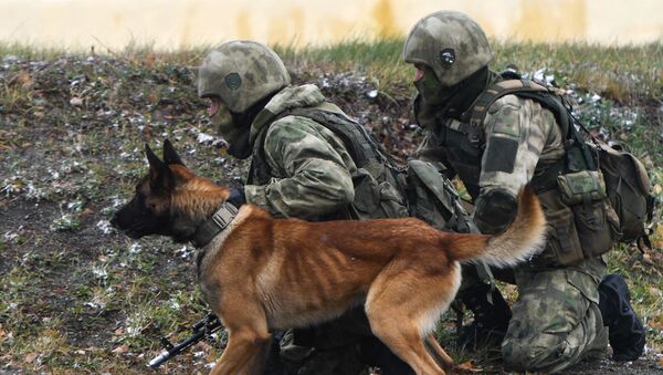 俄塞兩國執法機構聯合演習將於秋季舉行 - 俄羅斯衛星通訊社