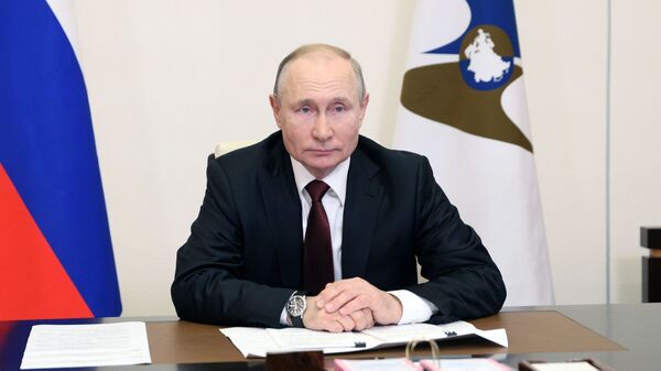 普京：欧亚经济联盟框架内合作非常顺利 - 俄罗斯卫星通讯社