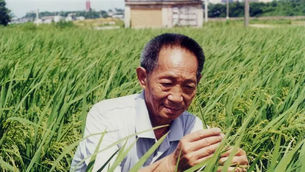 袁隆平 - 俄羅斯衛星通訊社