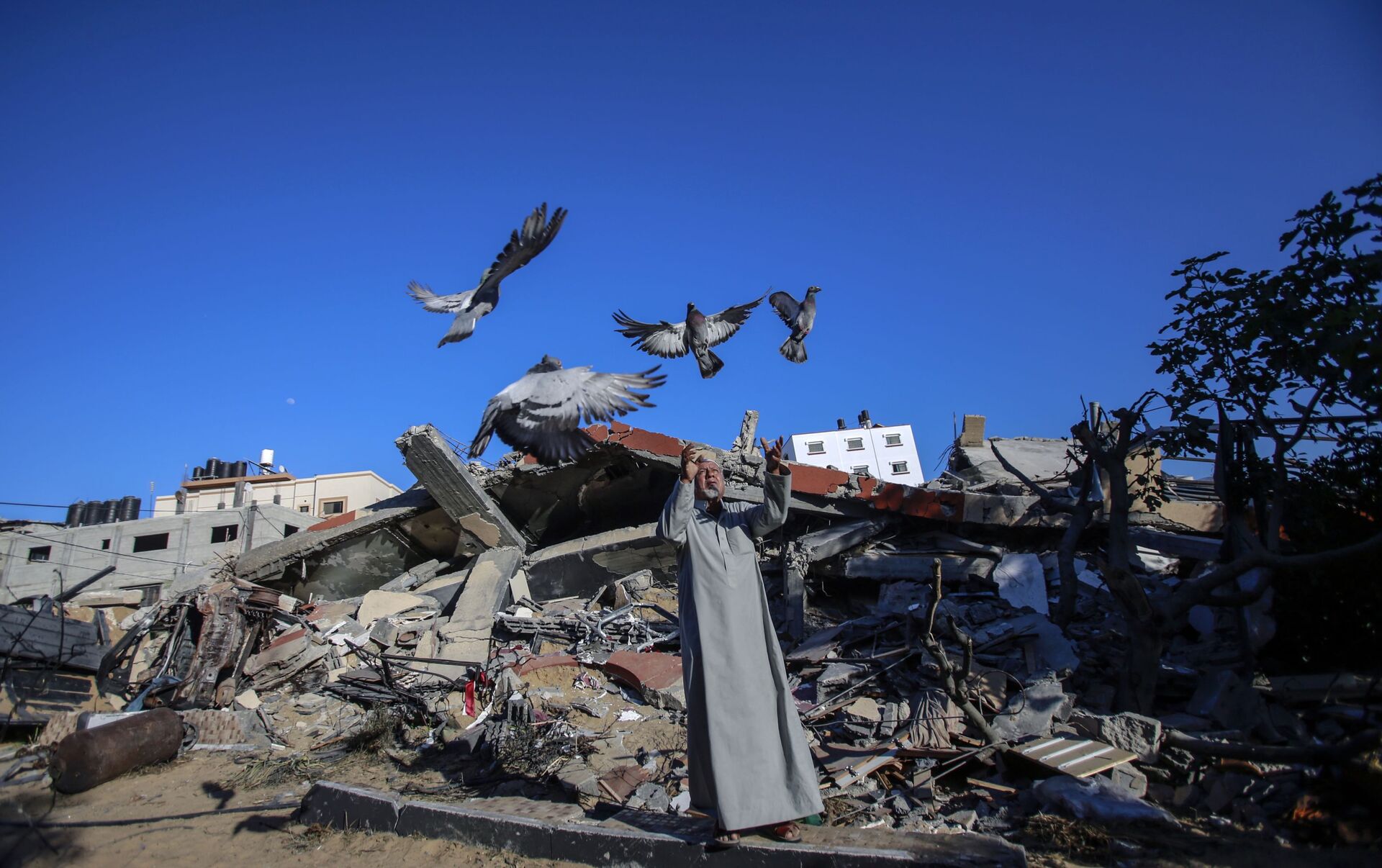 巴勒斯坦飞地政府称以色列对加沙地区的空袭造成4千多房屋受损 - 2021年5月14日, 俄罗斯卫星通讯社