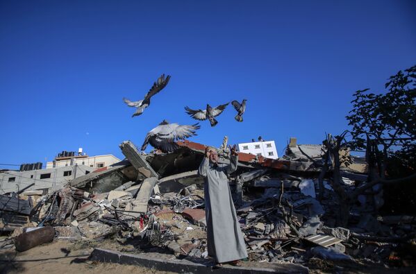 在廢墟中生活的加沙居民。

 - 俄羅斯衛星通訊社