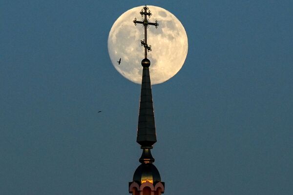 沃罗涅日州地区拍摄到的满月。 - 俄罗斯卫星通讯社