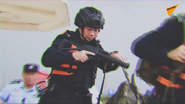 广州警方海陆空联合作战追捕走私团伙 - 俄罗斯卫星通讯社