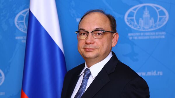 俄外交官：俄应与中国加强合作来应对非法制裁 - 俄罗斯卫星通讯社