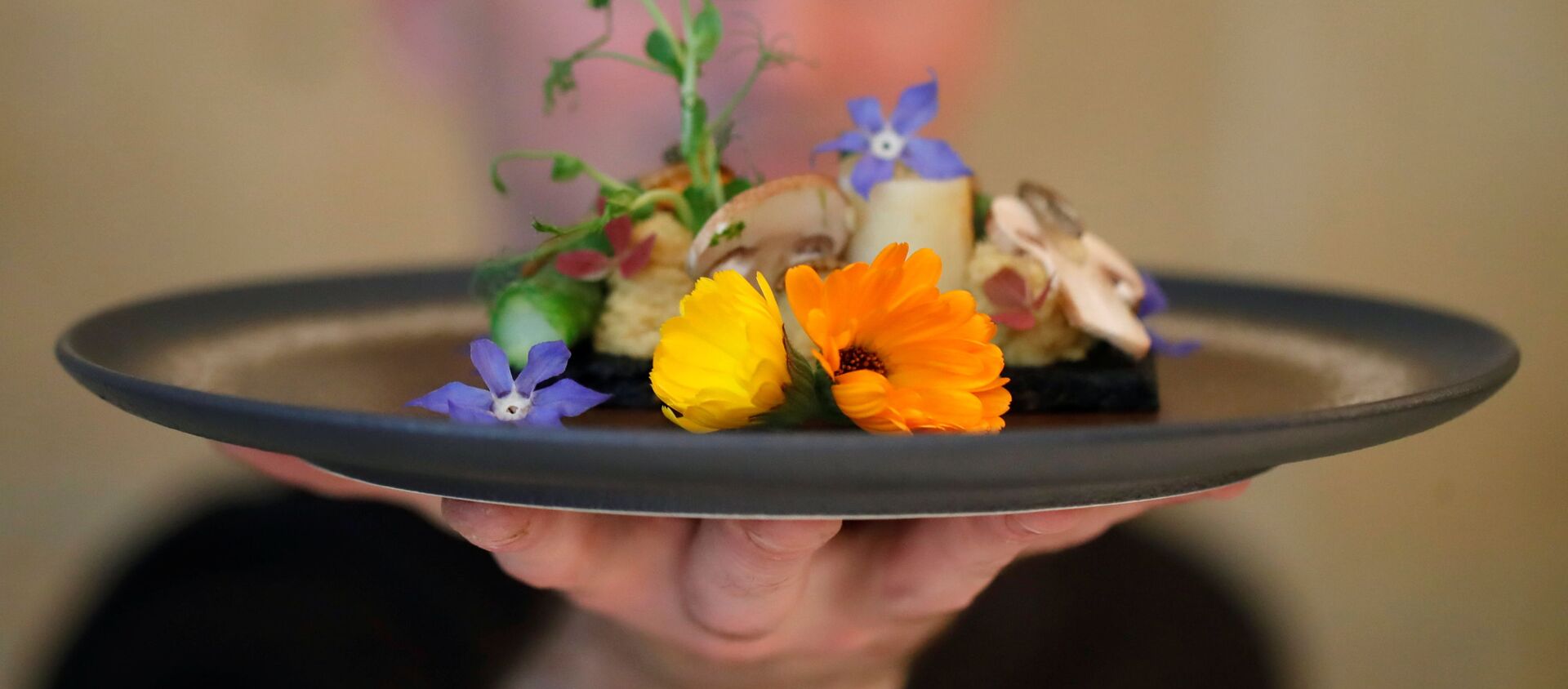 法国主厨劳伦•韦耶在他位于巴黎的Inoveat餐厅里展示昆虫菜肴。 - 俄罗斯卫星通讯社, 1920, 02.06.2021