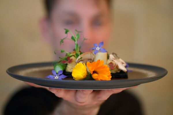 法國主廚勞倫•韋耶在他位於巴黎的Inoveat餐廳里展示昆蟲菜餚。 - 俄羅斯衛星通訊社
