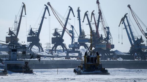 俄远东和北极发展部长：韩国希望开发北方海路集装箱运输线 - 俄罗斯卫星通讯社