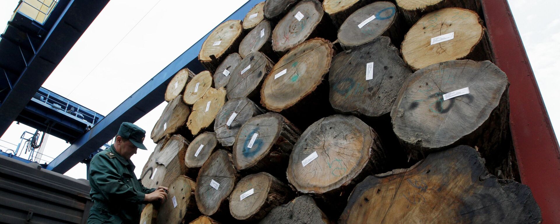 英国禁止进口俄木材导致本国家具价格上涨 - 俄罗斯卫星通讯社, 1920, 18.04.2022