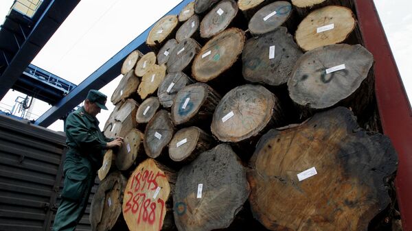 英国禁止进口俄木材导致本国家具价格上涨 - 俄罗斯卫星通讯社