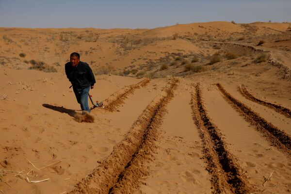 男子在沙漠中开垦绿化地。
 - 俄罗斯卫星通讯社